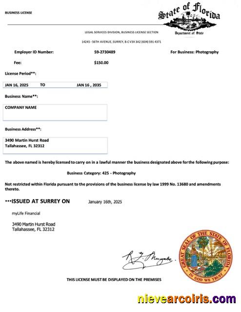 USA Florida business license